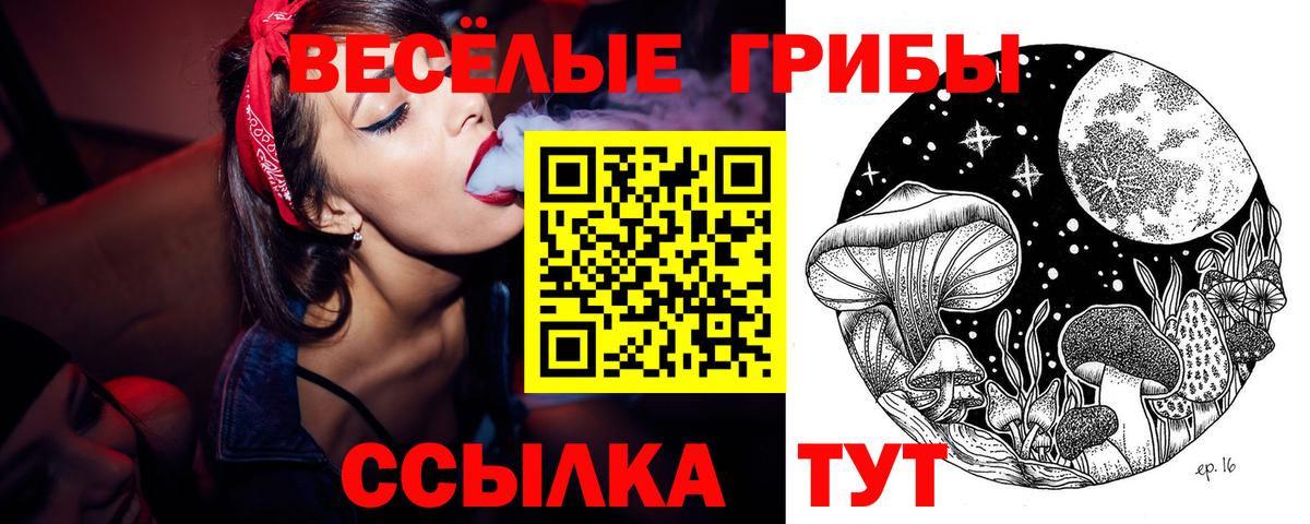 Псилоцибиновые грибы Cubensis  Вход с VPN  закладки  Псилоцибиновые грибы MAGIC MUSHROOMS  Камень-на-Оби 